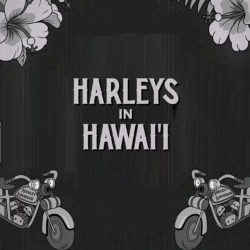 اهنگ Harleys In Hawaii با صدای مرد